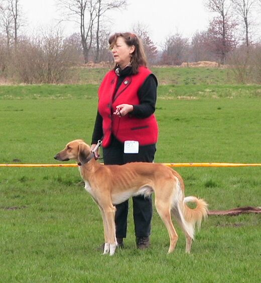 Züchter im NWR - Norddeutscher Windhund-Rennverein e.V.